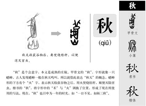 秋五行|秋的五行属什么,秋字的五行属性,秋的寓意